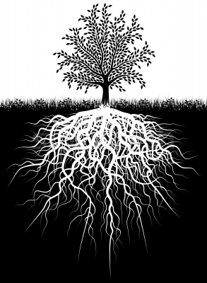 tree_roots